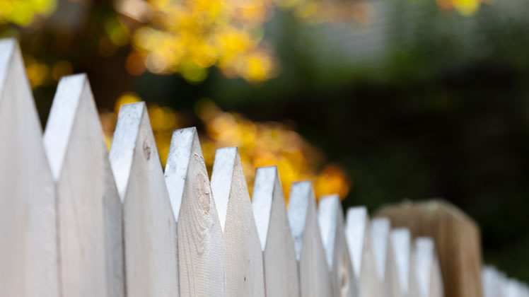 BLOG 66 whats the best fence for your property
